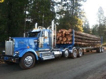 Forestry / Logging